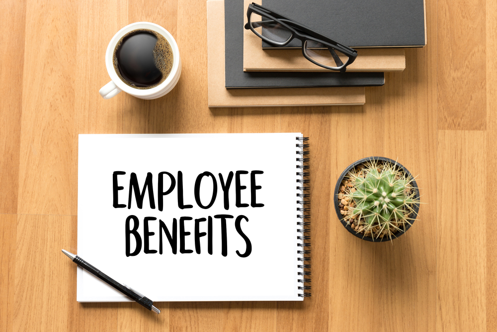 Mauldin group health benefits and employee insurance plans